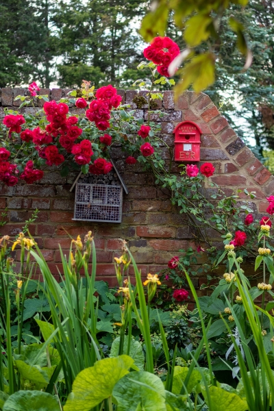 Faversham Open Gardens